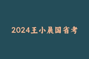 2024王小晨国省考理论＋套卷课1期