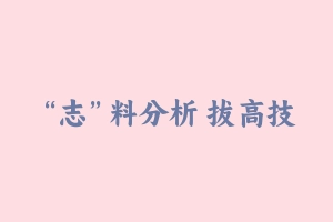 “志”料分析 拔高技巧大盘点 [723.54 MB] - 2024省考