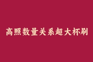 高照数量关系超大杯刷题班 [2.42 GB] - 2024省考