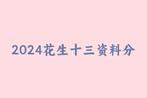 2024花生十三资料分析 [3.80 GB] - 花生十三